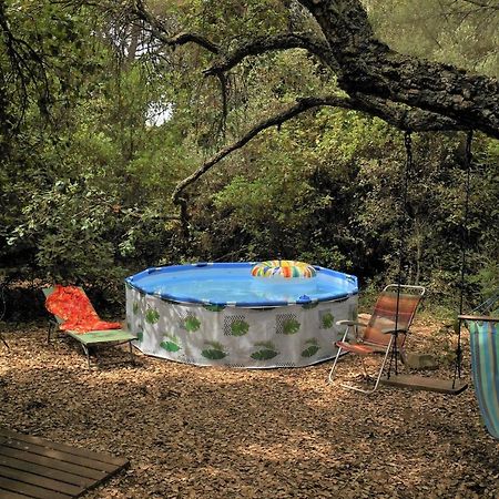 La Cabana Del Alcornoque Córdoba Eksteriør billede