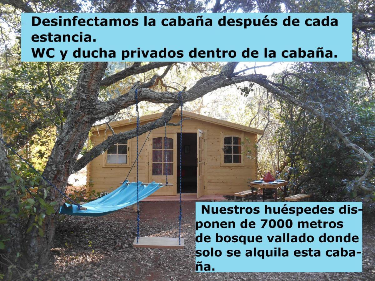 La Cabana Del Alcornoque Córdoba Eksteriør billede