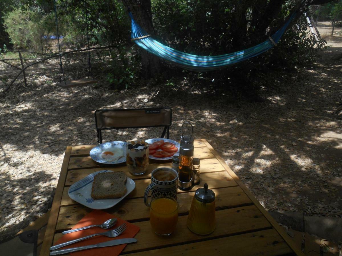 La Cabana Del Alcornoque Córdoba Eksteriør billede