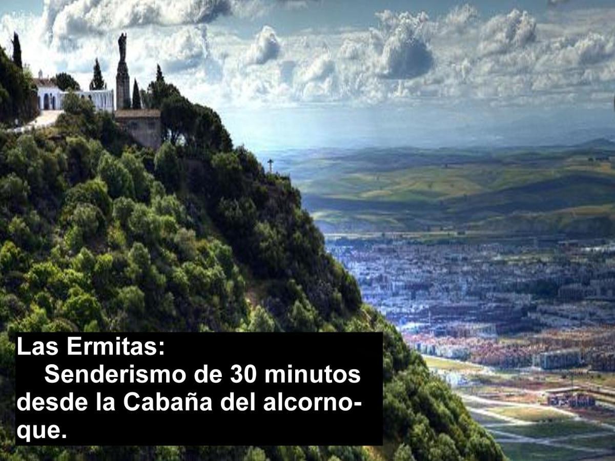 La Cabana Del Alcornoque Córdoba Eksteriør billede